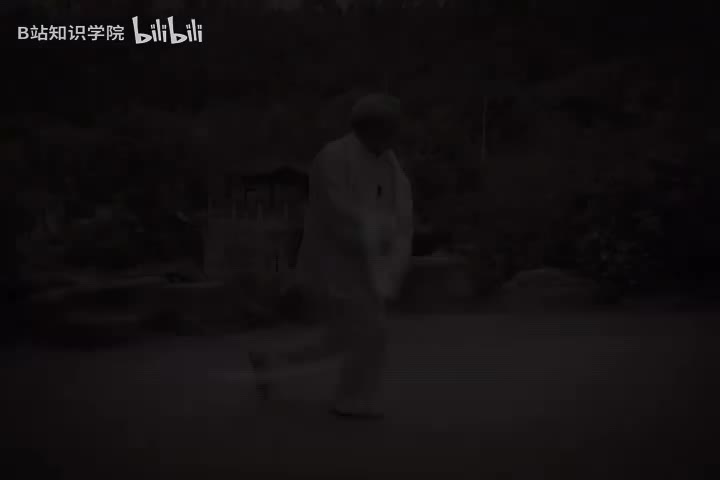 杨式太极拳85式教学6