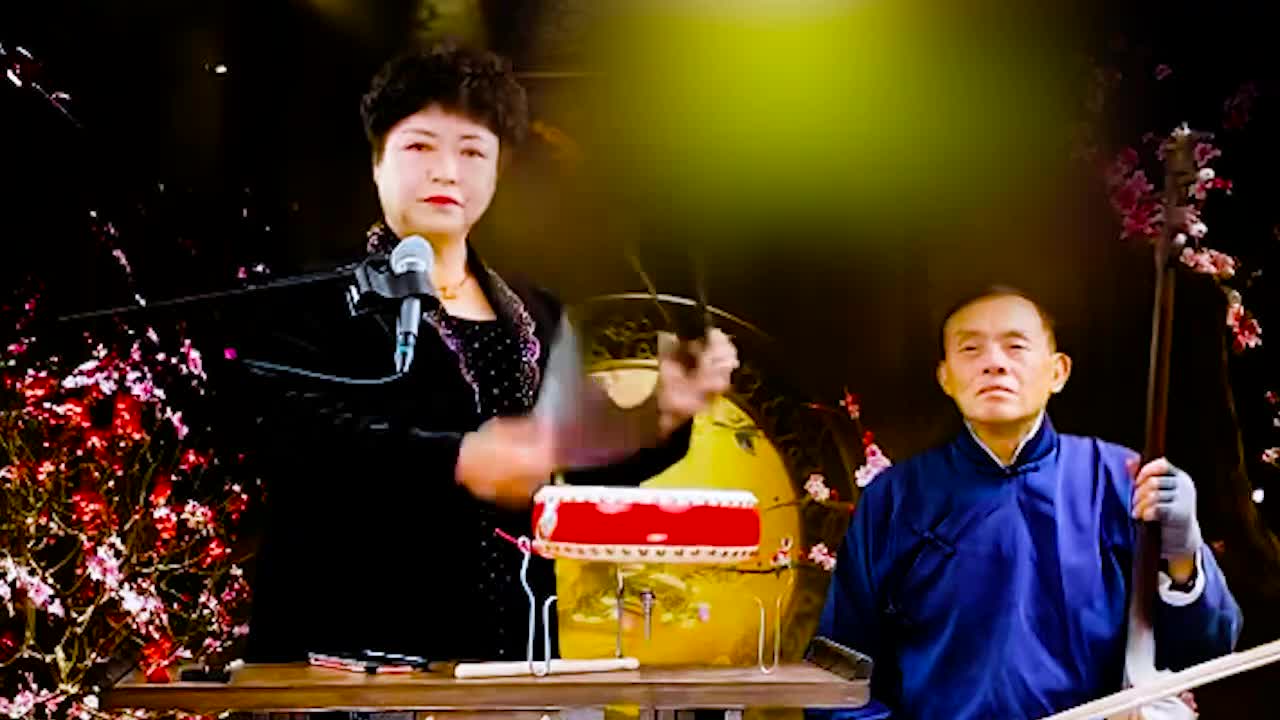 河南坠子 · 《呼家将》肖计英（18）