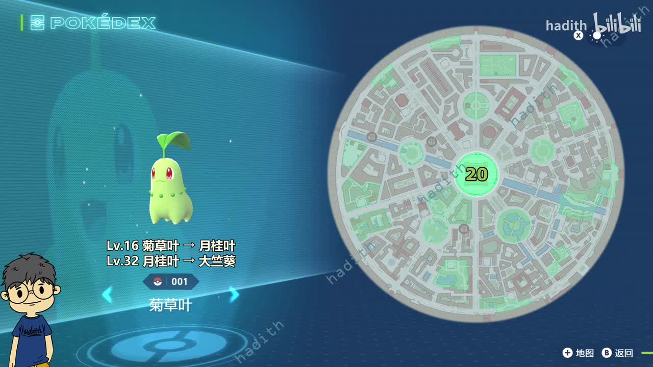 001-003 菊草叶、月桂叶、大竺葵