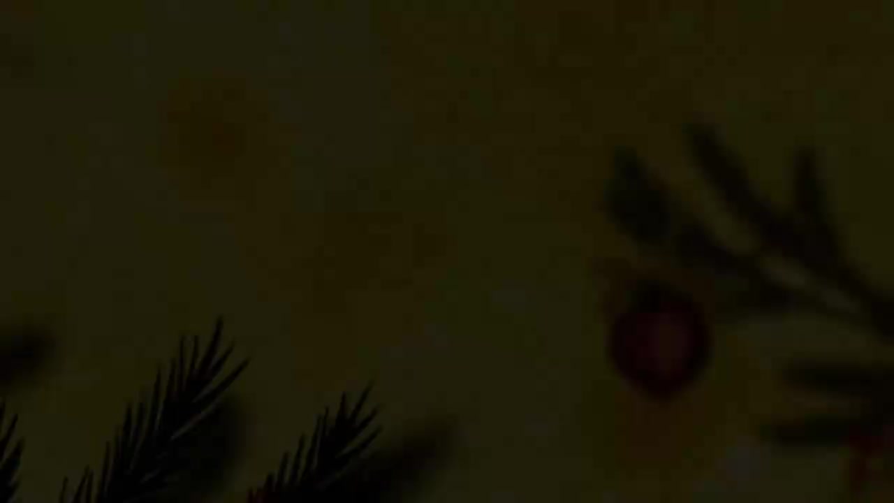 【国语】芭比之圣诞欢歌2008