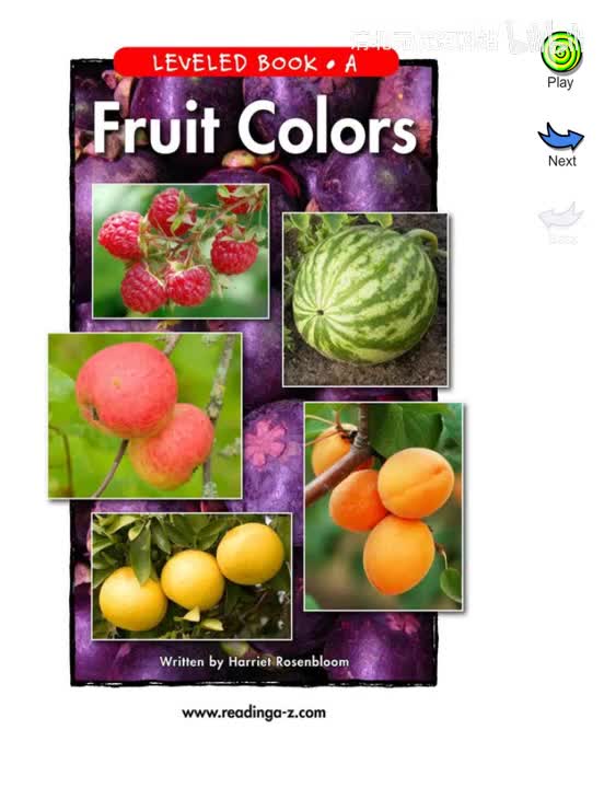 131-【031 A级】Fruit Colors