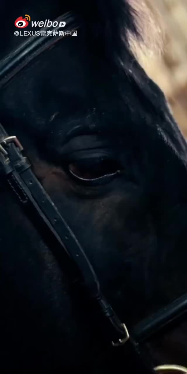 番外：2020年系列竖屏广告