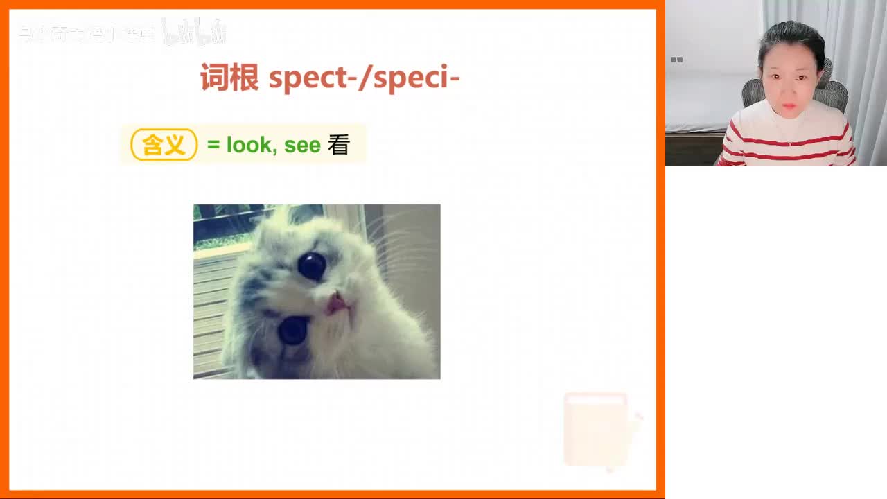 36.速记单词-第36-天