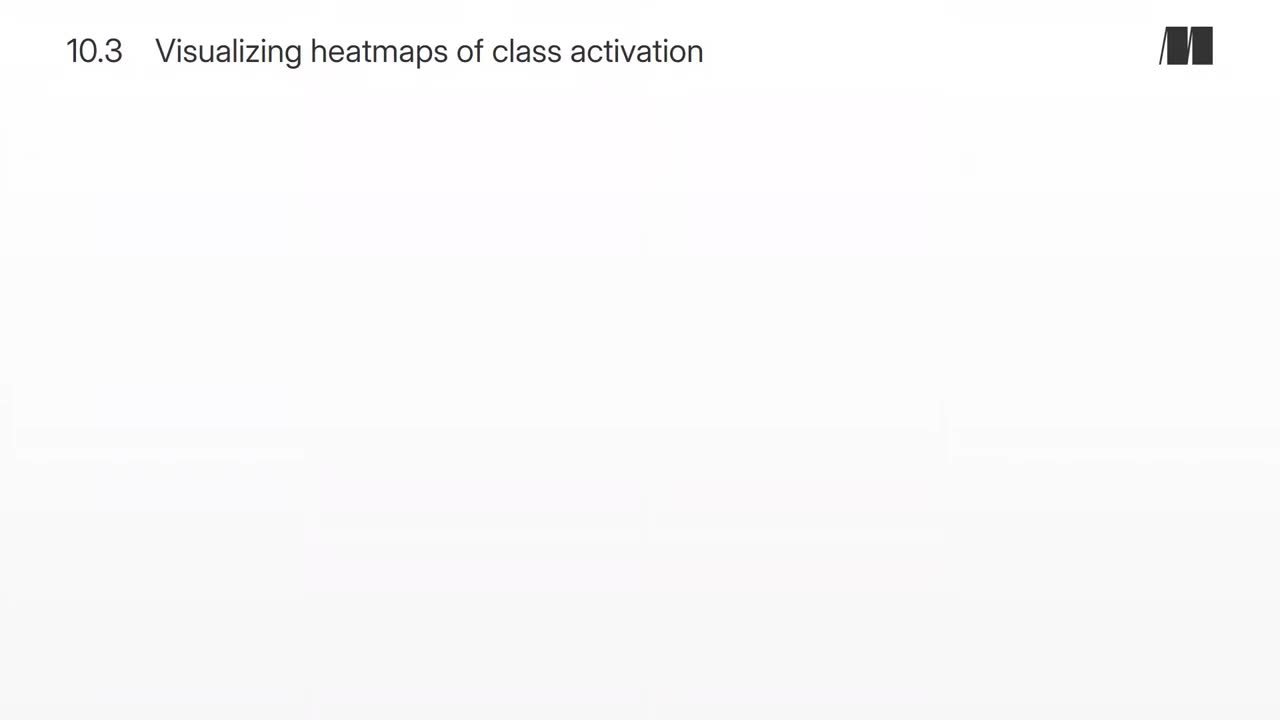 057. Chapter 10. Visualizing heatmaps of class activation