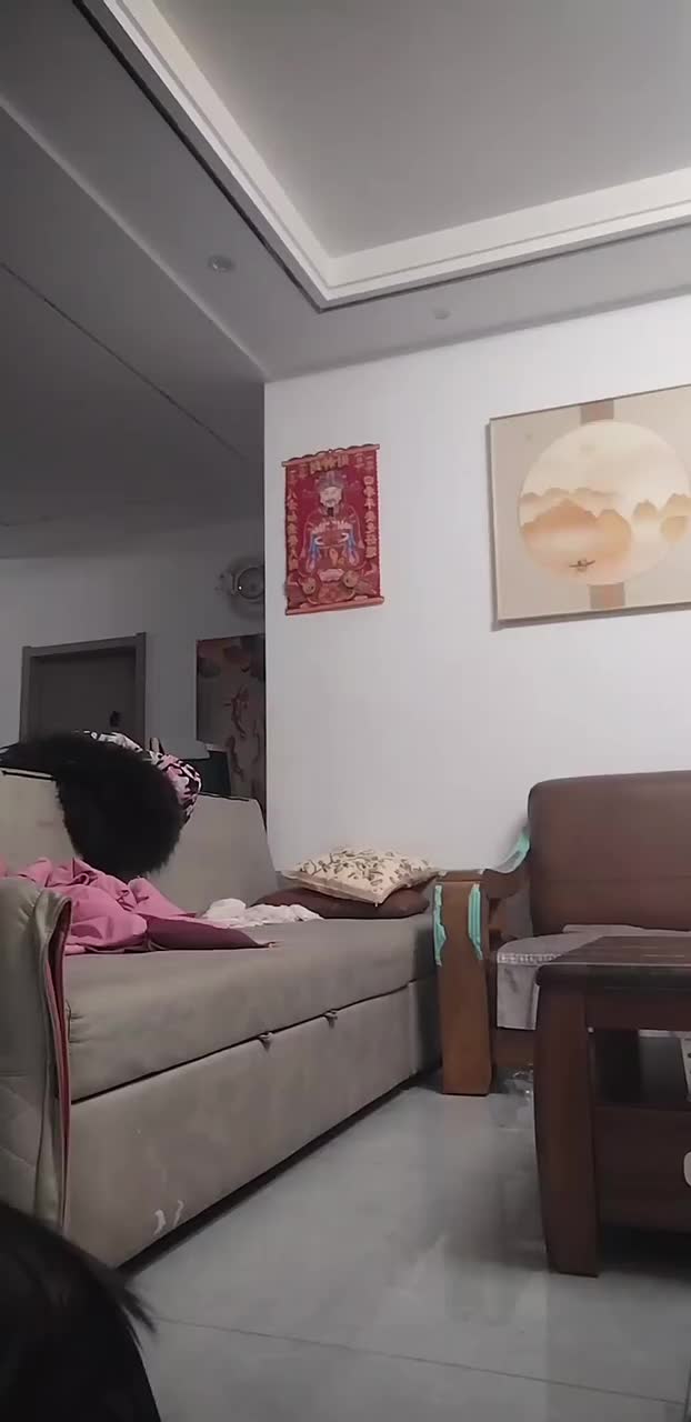 一甜相机我家小狗狗我家狗子500