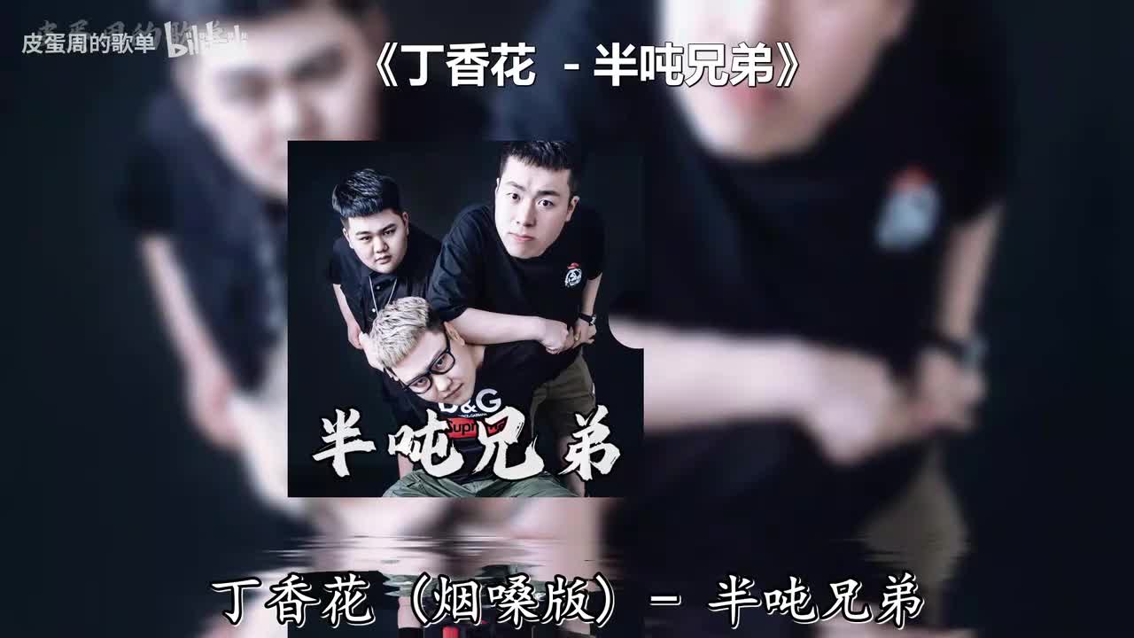 丁香花 - 半吨兄弟