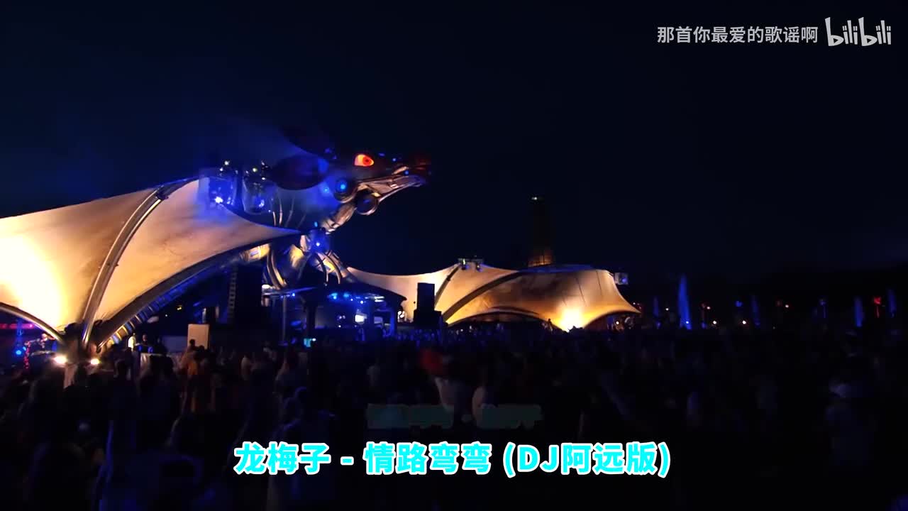 134. 情路弯弯 (Remix)(DJ阿远版) - 龙梅子