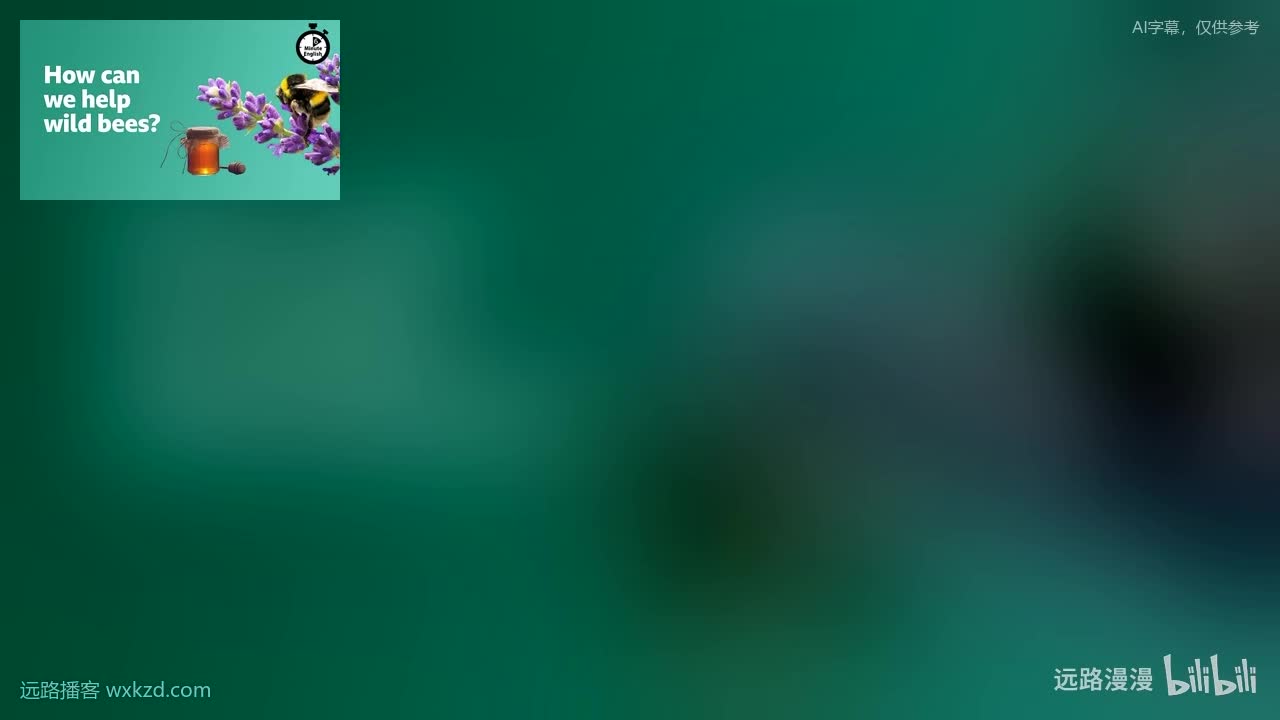 250717 - How can we help wild bees?