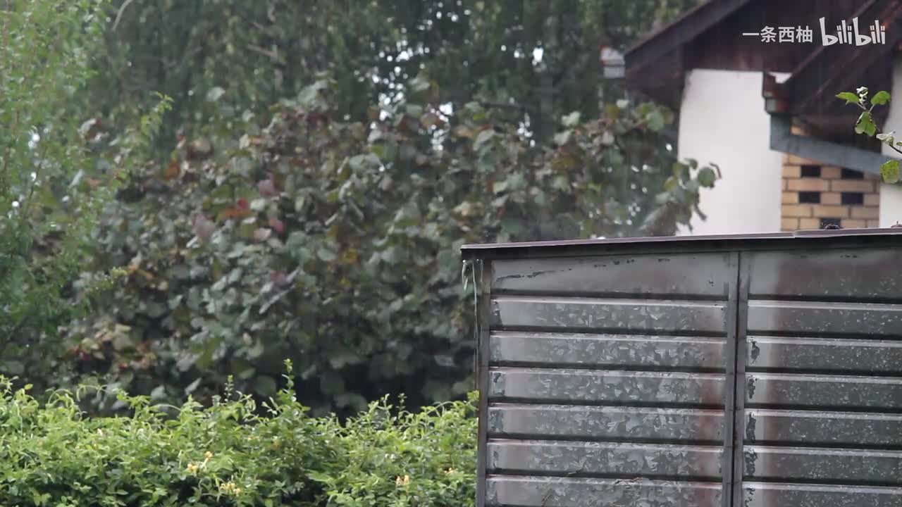 雨中氛围感 (95)