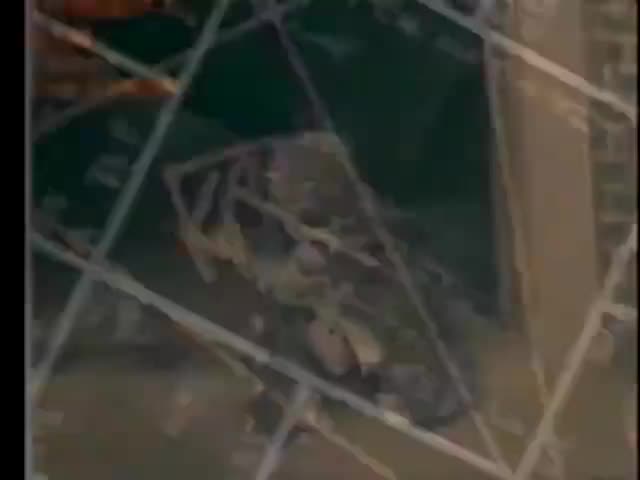 繁体中文小字幕MV