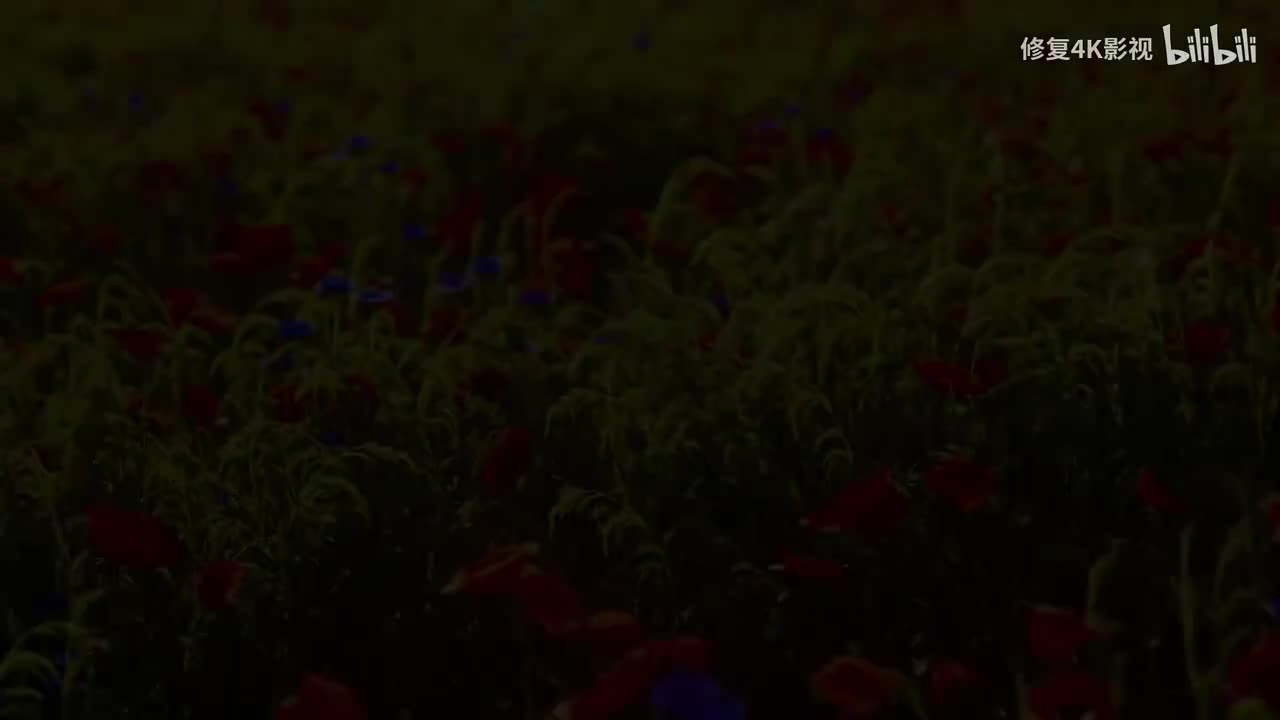 马大帅第一部1-8