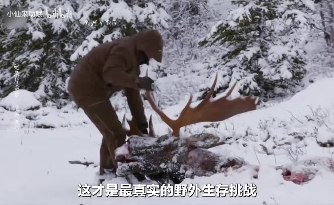 一口气看完荒野独居丹麦版第二季，大佬一次性捕获24条野鳟鱼_20250606_093126