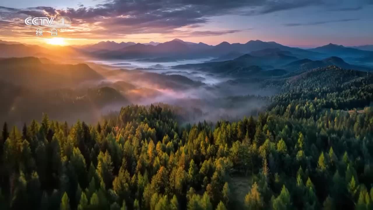 《自然中国之山水工程》05 绿色脊梁：中国北方绿色奇迹 锁住黄沙 保护黄河！书写了人与自然从博弈到共生的崭新篇章【CCTV纪录】_1080p