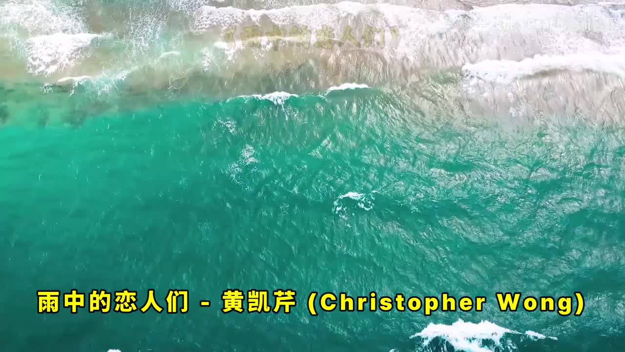 雨中的恋人们 - 黄凯芹 友情岁月 - 郑伊健 不做情人 - 邓岳章 真真假假 - 张卫健 只想一生跟你走 - 张学友