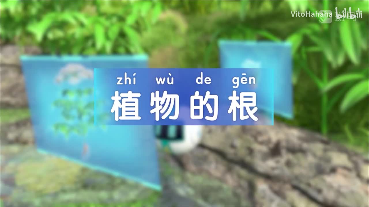 2.2.植物的根