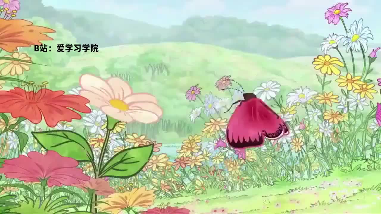 001 Little Green Worm 小青虫