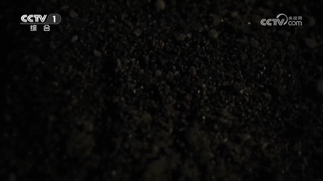 【第5集】无处不在的号角