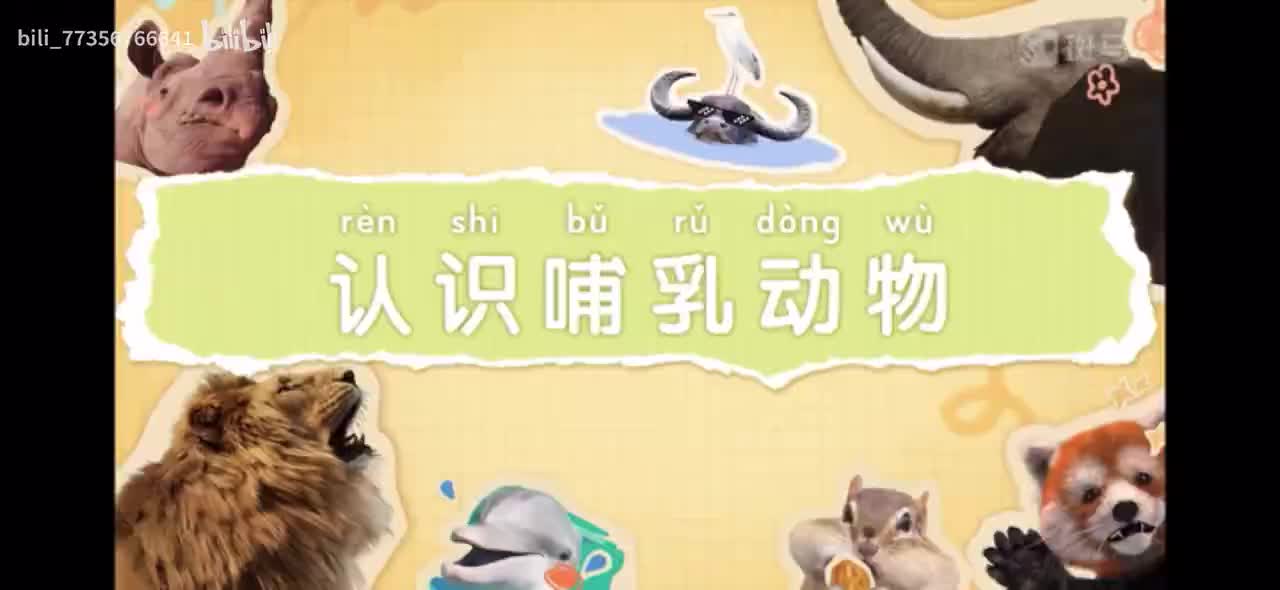 【百科启蒙动画】 B站更新最多的百科动画 搞定儿童科学启蒙 P1：01-认识哺乳动物