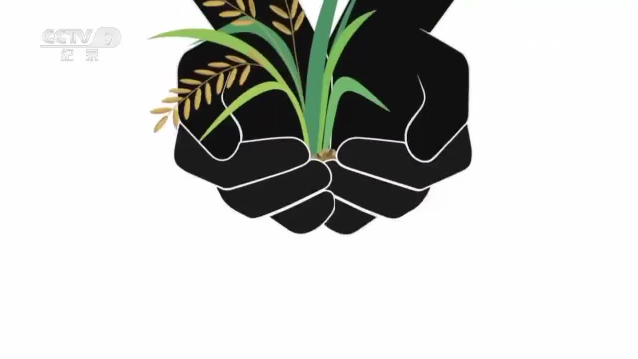 【第三集】守护者