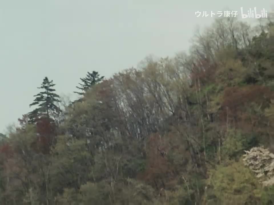 33.父与子的爱之河