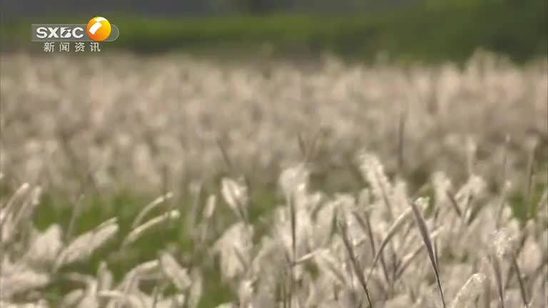 b39e345c-c4e6-11f0-8e7e-00110a6c9518_merge_1763515873