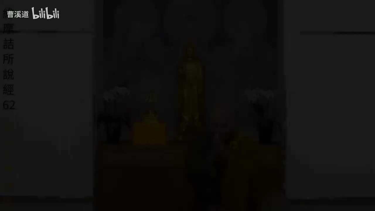 062-维摩诘所说经62mp4