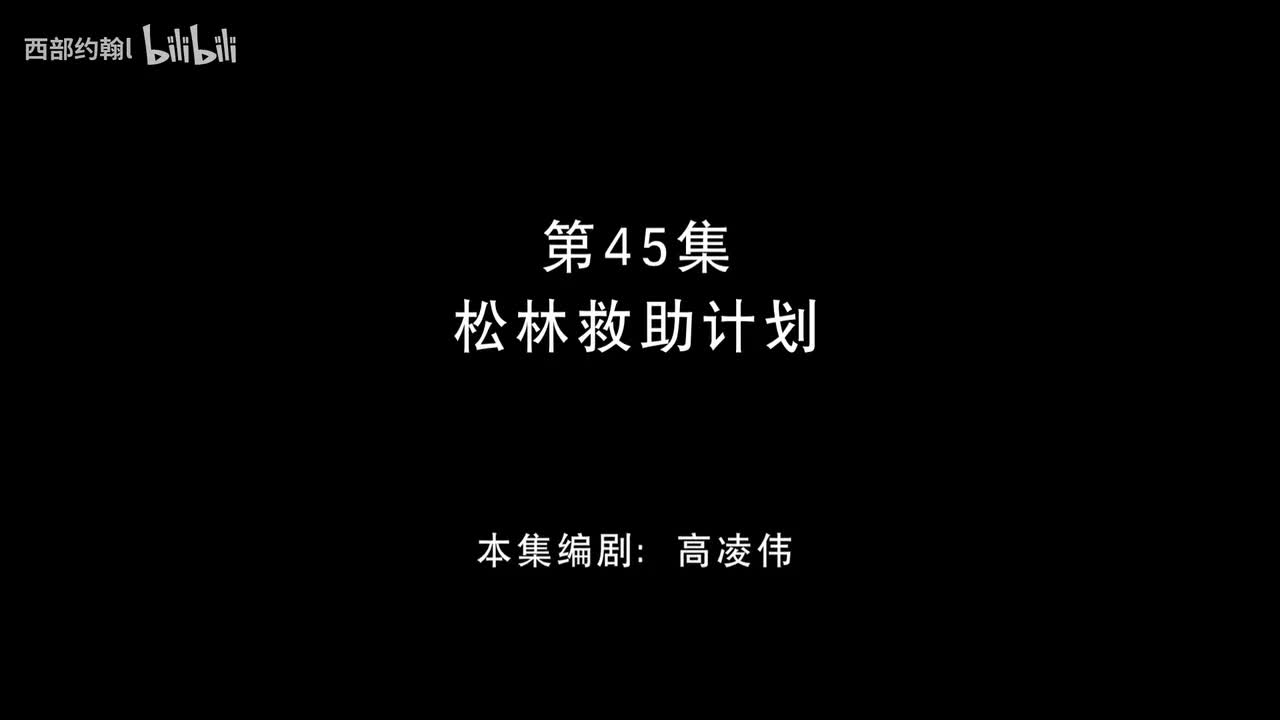 45.松林救助计划