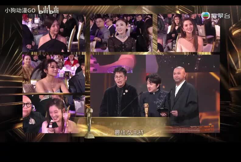 最佳女主持车婉婉