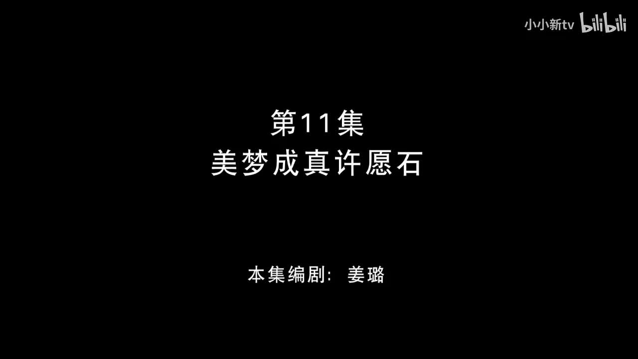 美梦成真许愿石11