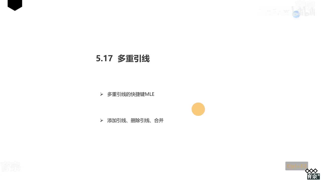 课时59：多重引线