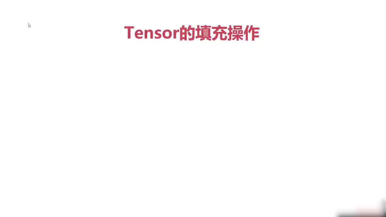 29.029.Pytorch与张量填充