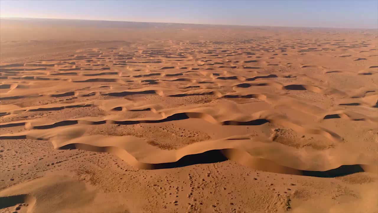 025-沙漠里最忠实的伙伴-骆驼 (内蒙古阿拉善)