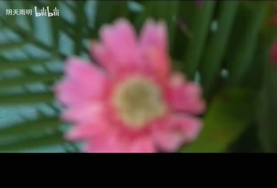 民间小调《妹妹跟哥下扬州》07 刘晓燕 王艺欢 薄战士 方雪艳 李发华 卞丽华 李雪 薄小彬 王娟