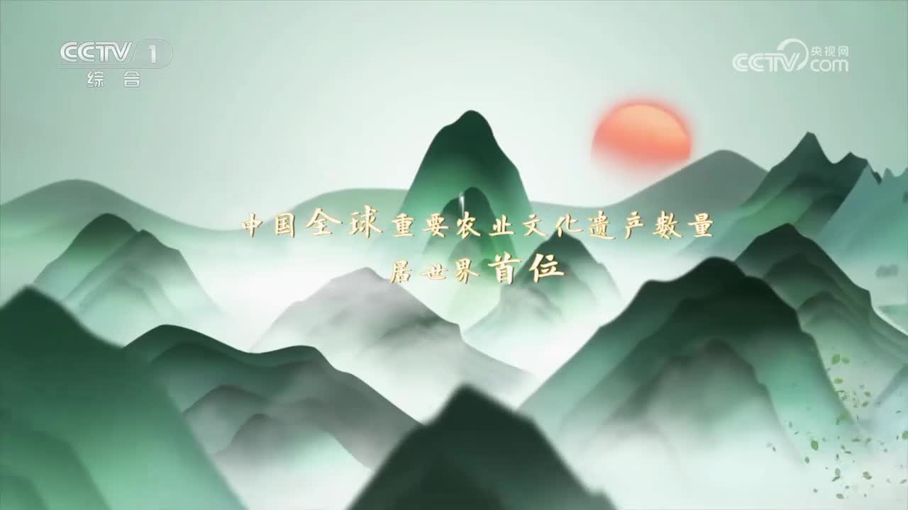 第22集 贵州从江侗乡稻鱼鸭系统