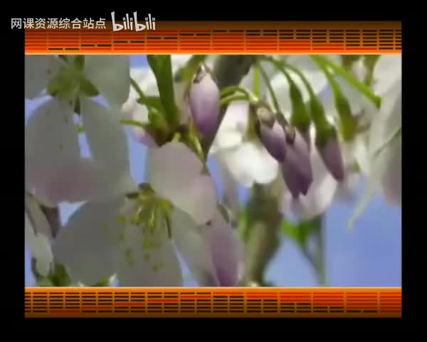 063_易经的智慧_（卦序24）_复卦（上）剥极而复