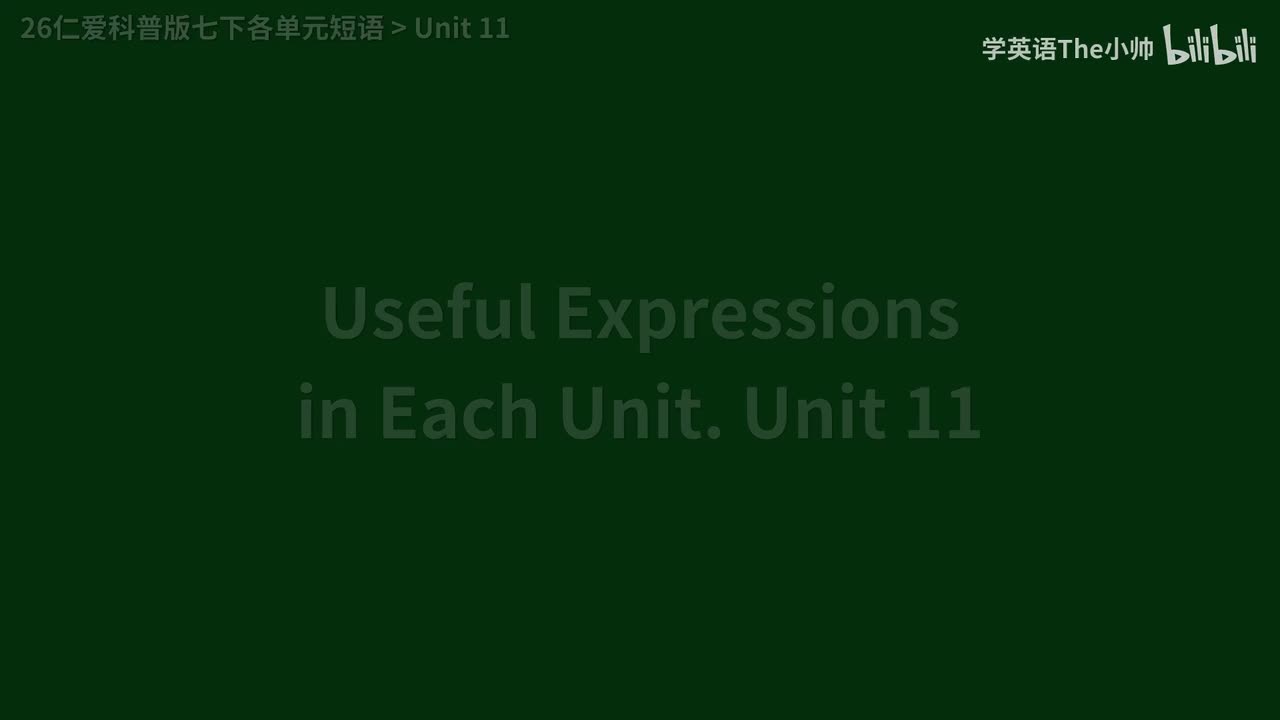 【新】各单元短语 Unit 11
