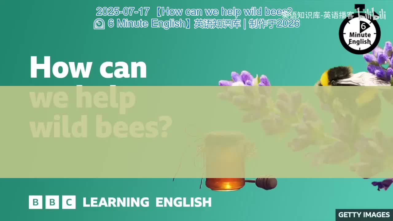 37.How.can.we.help.wild.bees.6.Minute.English