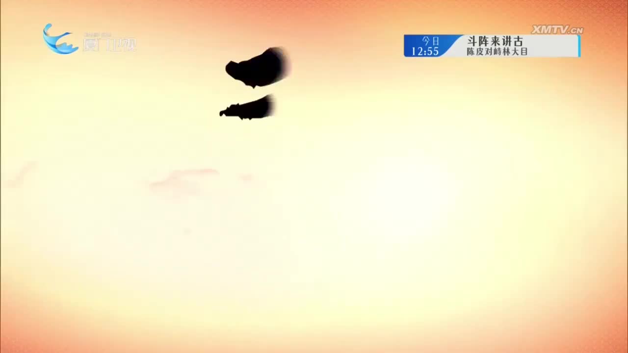 太子挂帅（4）斗阵来看戏 2025.06.30 - 厦门卫视