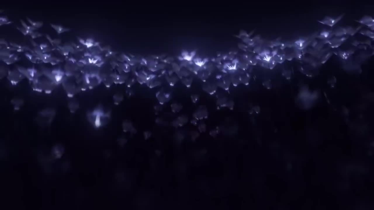 第三十九集 黑街