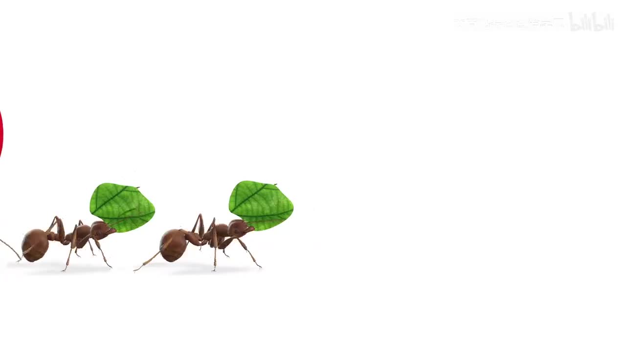 4. 'The Millipede March!' Bug Dance Insect Brain Break _ Danny Go! Songs for Ki