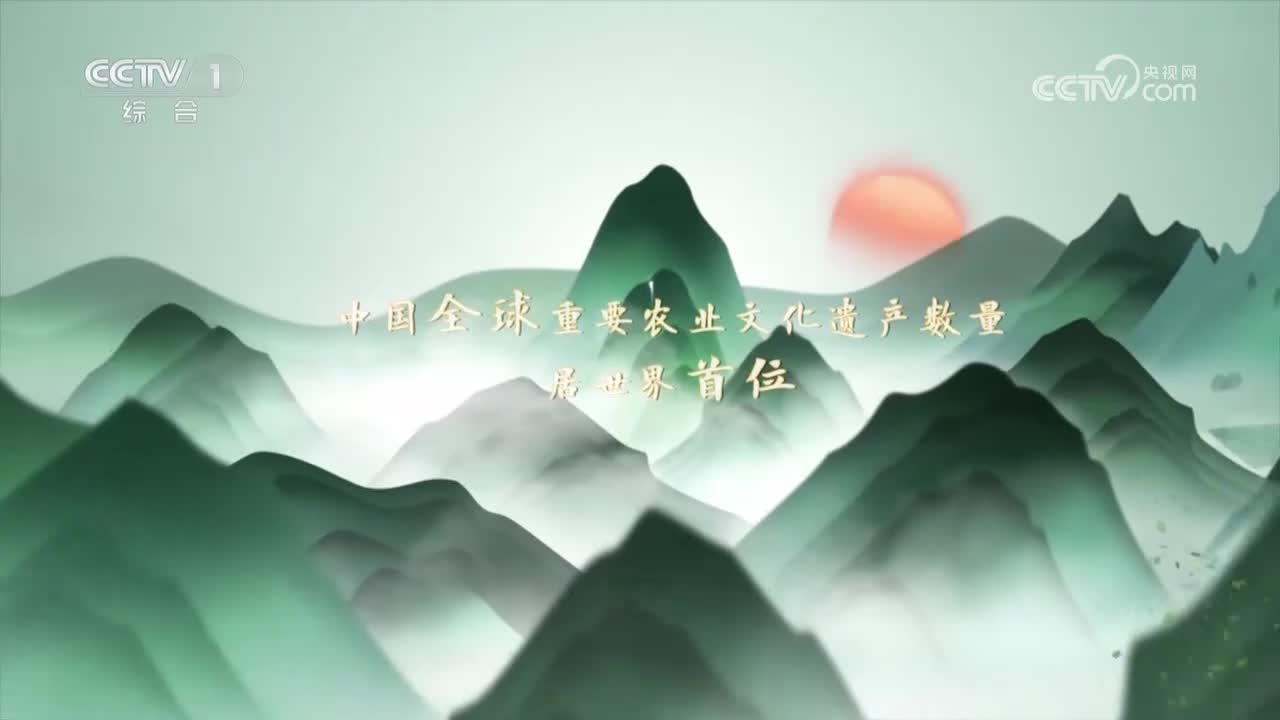 第2集 安徽铜陵白姜种植系统