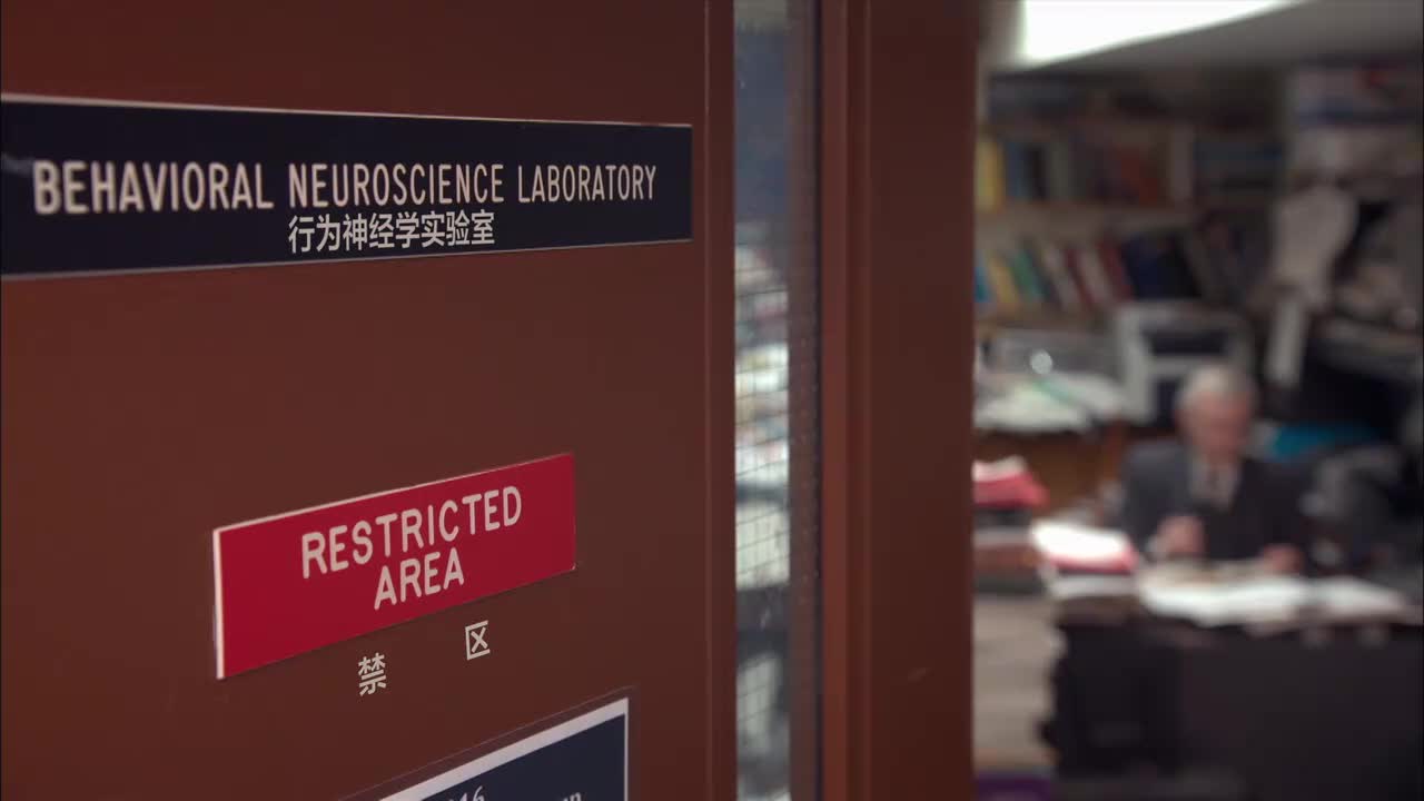 圣地 神谕之所 11