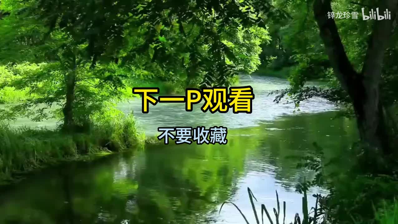 观前须知❗️