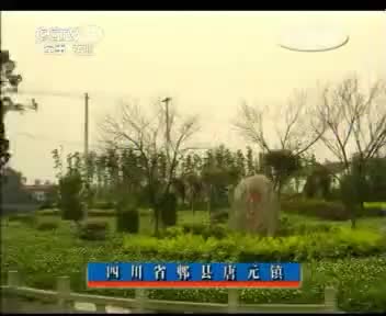 唐元镇 2012.7.9