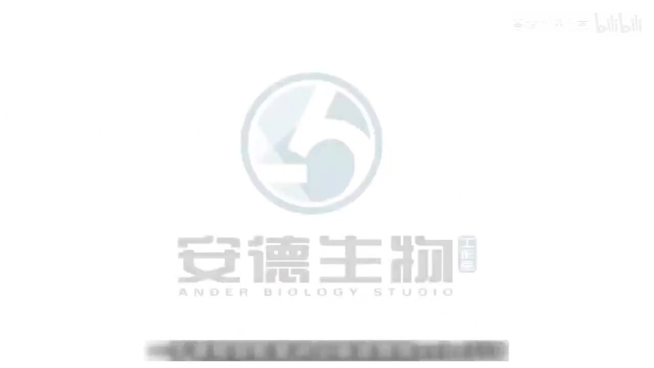 34.种群及其动态
