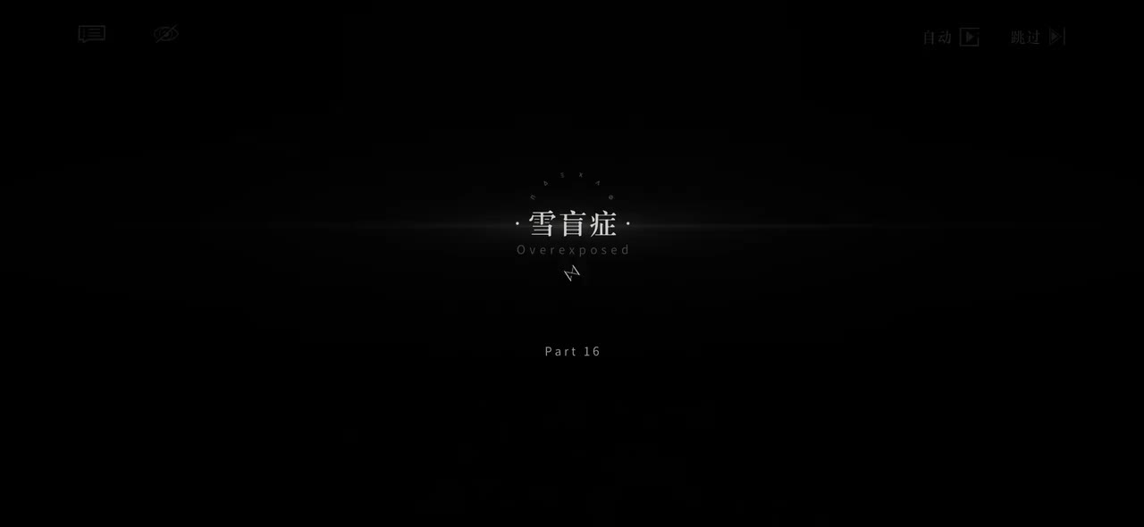 13.TH.16【雪盲症】