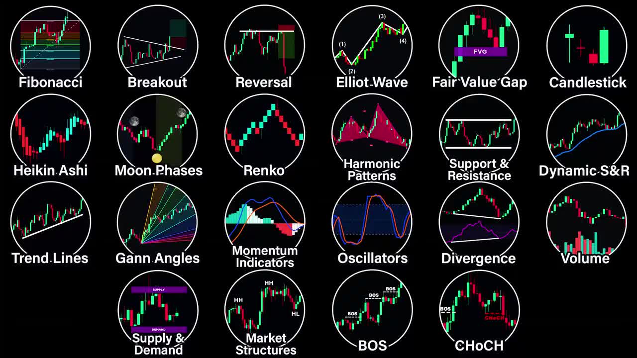 中文旁白、中文字幕