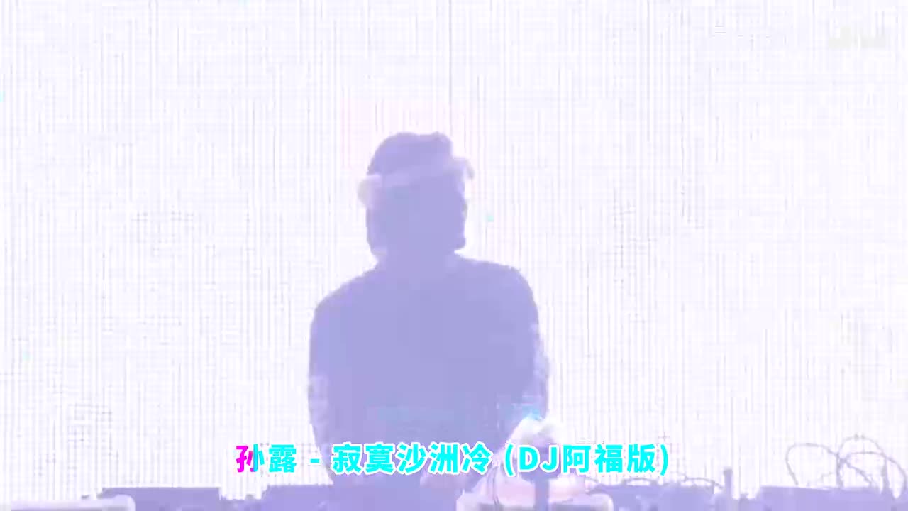 136. 寂寞沙洲冷 (DJ阿福、DJ乙烯烯- -版) - 孙露