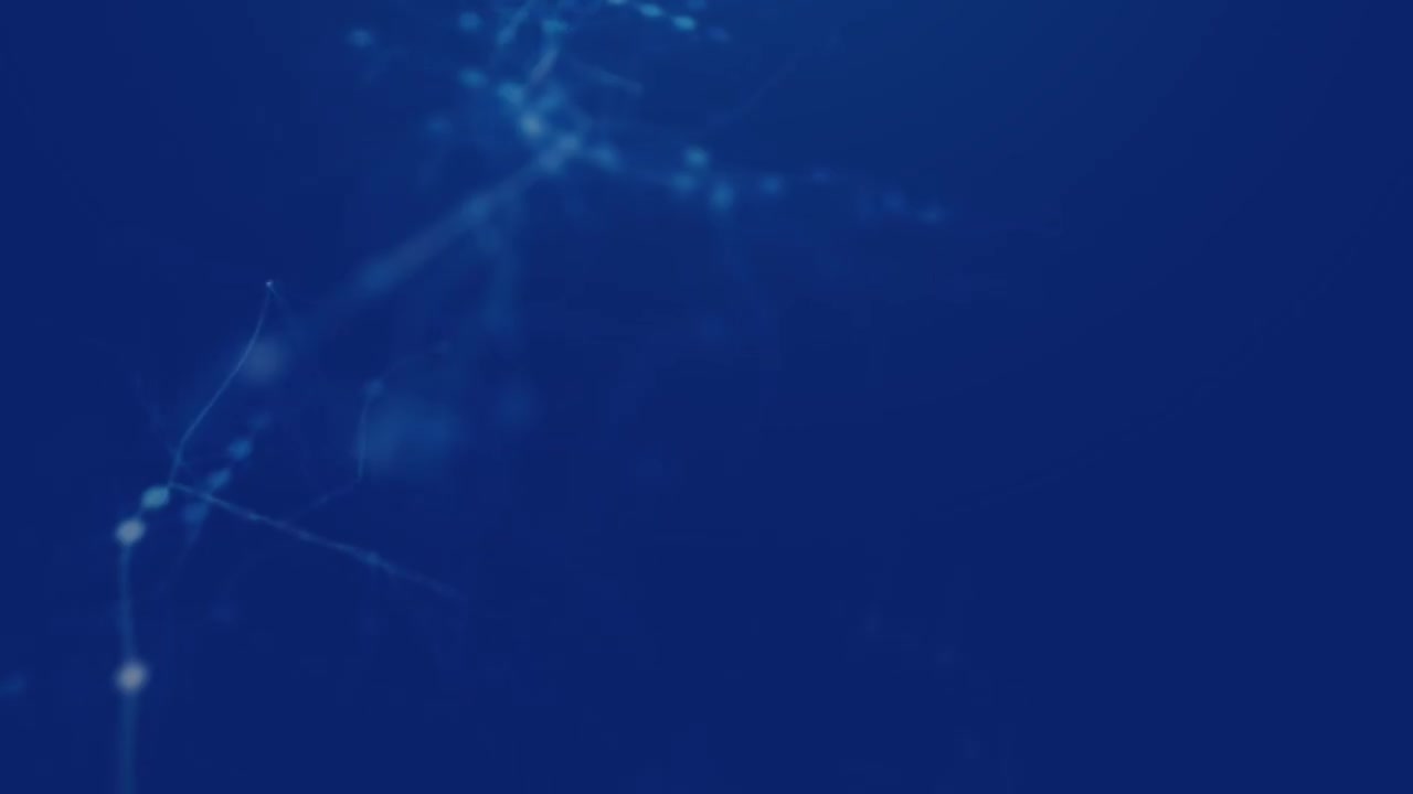 62 企业案例-对车灯进行检查