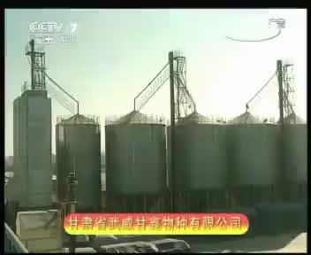 甘鑫物种 2012.4.16